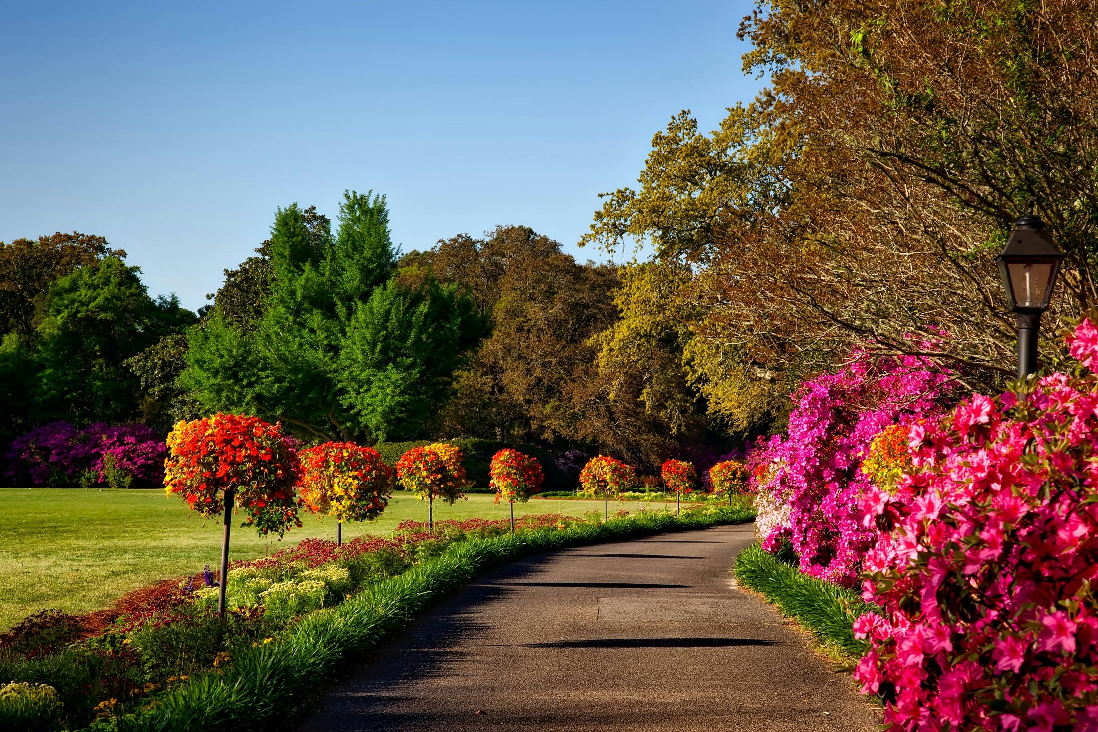 A scenic outdoor garden with vibrant floral displays, perfect for backgrounds or wallpapers.