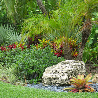 summer landscaping in south florida
